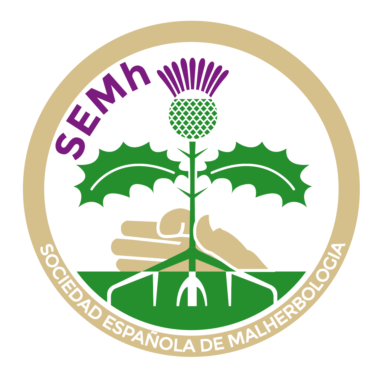 SEMh.Cardo-logos-2-TRANSP